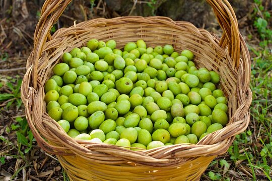 Tour image 2