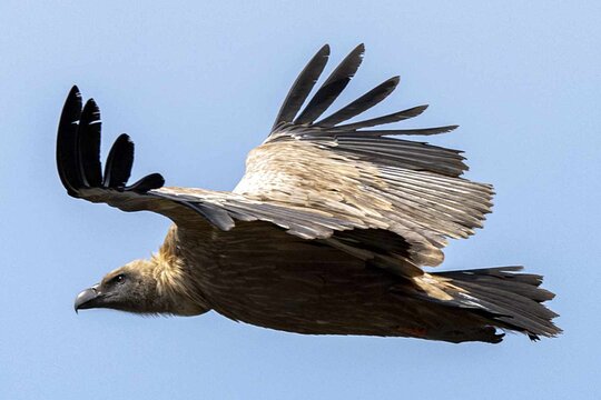 Tour image 7